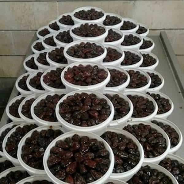 تصویر 4 از خرید خرمای کبکاب سطلی + قیمت فروش استثنایی